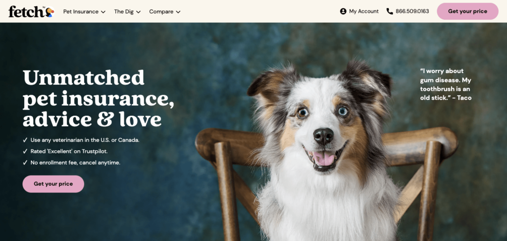 fetch homepage